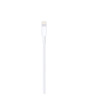 Apple Usb-C To Lightning Cable (1 M)